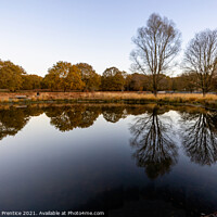 Buy canvas prints of Richmond Park Morning by Graham Prentice