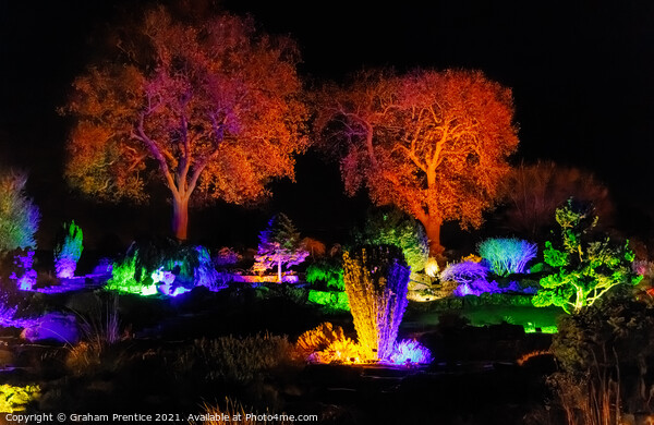 Wisley Christmas Glow Picture Board by Graham Prentice