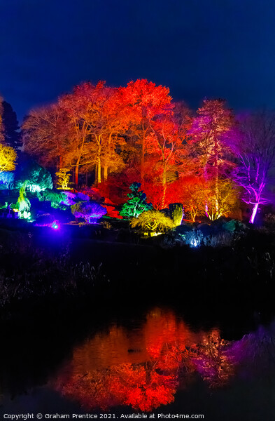 Wisley Christmas Glow Picture Board by Graham Prentice
