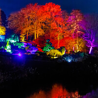 Buy canvas prints of Wisley Christmas Glow by Graham Prentice