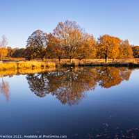 Buy canvas prints of Leg of Mutton Pond in Richmond Park by Graham Prentice