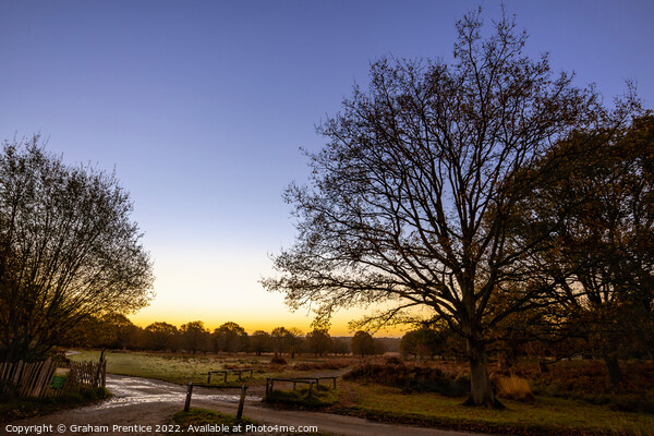 Richmond Park Sunrise Picture Board by Graham Prentice
