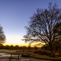 Buy canvas prints of Richmond Park Sunrise by Graham Prentice