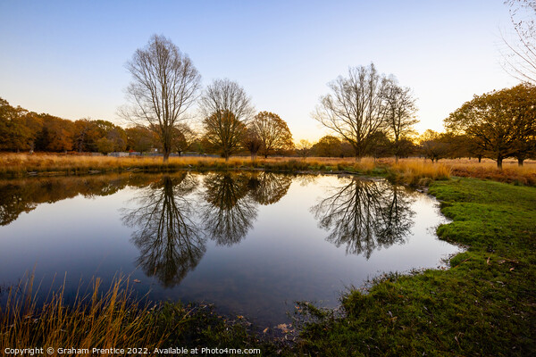 Richmond Park Morning At White Ash Pond Picture Board by Graham Prentice
