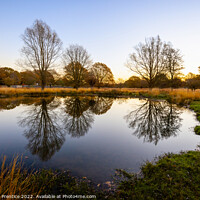 Buy canvas prints of Richmond Park Morning At White Ash Pond by Graham Prentice