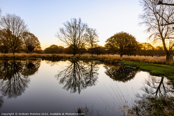 Richmond Park Sunrise Over White Ash Pond Picture Board by Graham Prentice