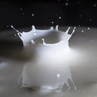 Buy canvas prints of Crown of Milk by Graham Prentice