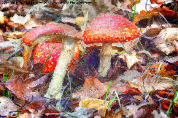 Magic Mushrooms Picture Board by Graham Prentice