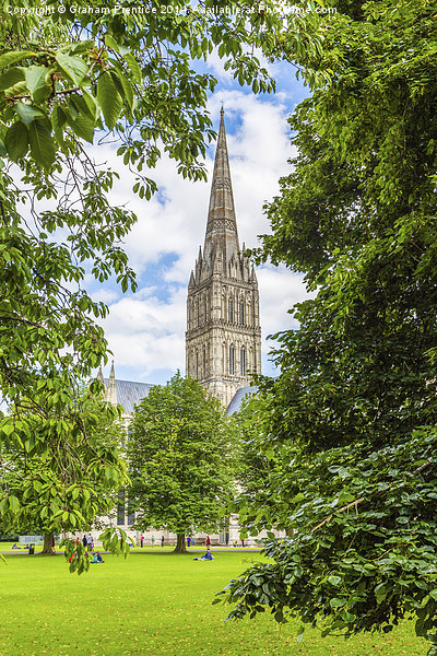 Salisbury Cathedral Picture Board by Graham Prentice