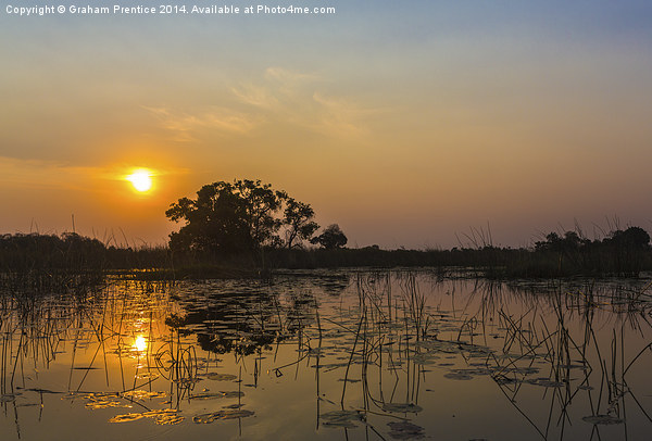 Sunset In Okavango Delta Picture Board by Graham Prentice