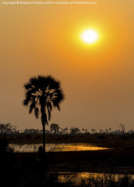 Okavango Delta Sunset Picture Board by Graham Prentice