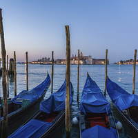 Buy canvas prints of Gondolas in Venice by Graham Prentice