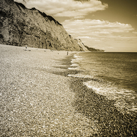 Buy canvas prints of Beach at Sidmouth by Graham Prentice