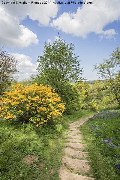 Spring Path Picture Board by Graham Prentice