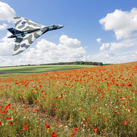 Buy canvas prints of  Avro Vulcan B2 bomber in flight over a poppy fiel by Graham Prentice
