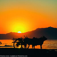 Buy canvas prints of Bullock cart at sunset on the Irrawaddy River, Old by Graham Prentice