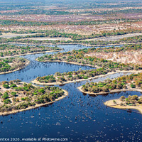 Buy canvas prints of Flooded channels in the Okavango Delta by Graham Prentice