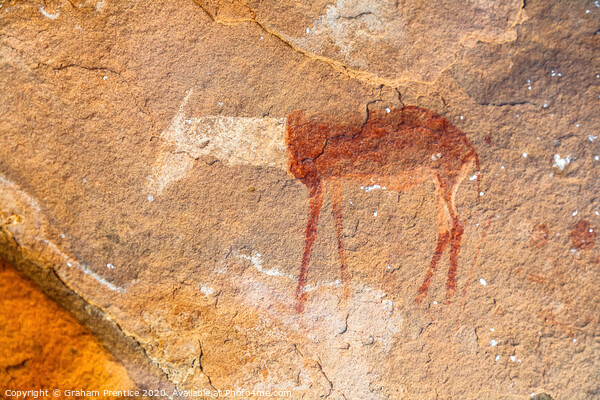 Ancient African Rock Art Picture Board by Graham Prentice