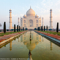 Buy canvas prints of Taj Mahal Pool Reflection by Graham Prentice