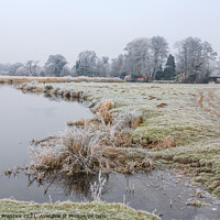 Buy canvas prints of Frosty Riverbank by Graham Prentice