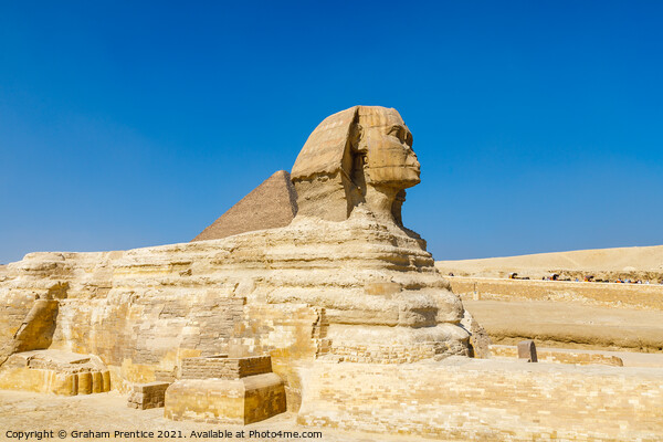 Great Sphinx of Giza Picture Board by Graham Prentice