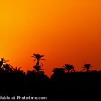 Buy canvas prints of Egyptian Sunset by Graham Prentice