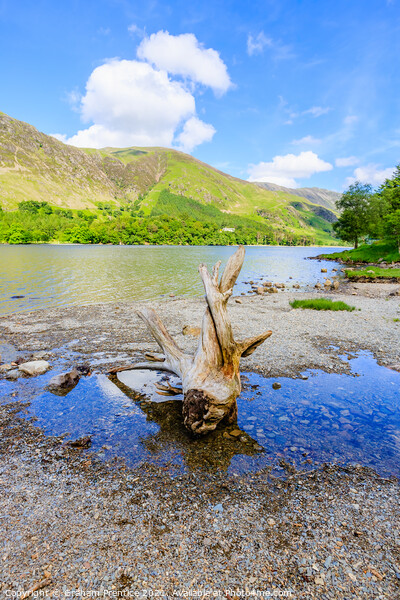 Buttermere Panorama With Driftwood Picture Board by Graham Prentice
