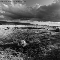 Buy canvas prints of Machrie Moor Stone Circles by John Barratt