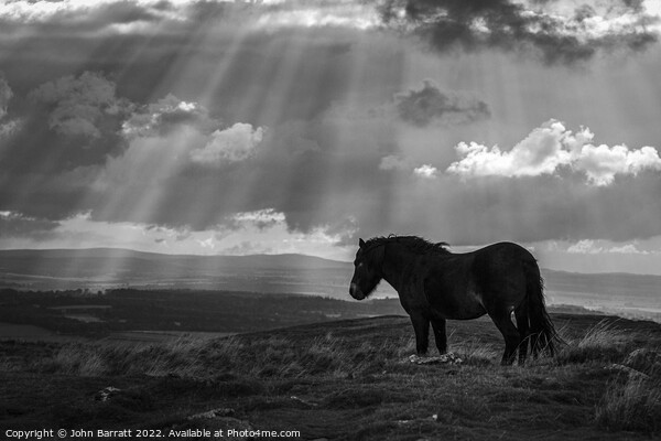 Exmoor Pony and Sunbeams Framed Mounted Print by John Barratt