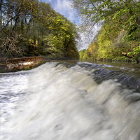 Buy canvas prints of River Wansbeck at Bothal weir by Richard Armstrong