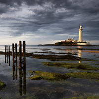 Buy canvas prints of St Marys lighthouse in evening light by Richard Armstrong