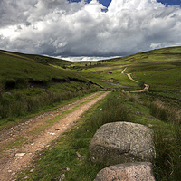 Buy canvas prints of Cheviot Hills by Richard Armstrong