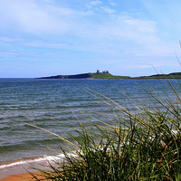 Buy canvas prints of Dunstanburgh Castle From Embleton Bay by Tony Johnson