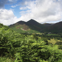 Buy canvas prints of Causey Pike From Catbells by Tony Johnson