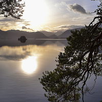 Buy canvas prints of Tranquility on  Derwentwater by Tony Johnson