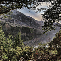 Buy canvas prints of  Derwentwater Through The Trees by Tony Johnson