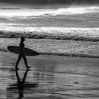 Buy canvas prints of The Surfer by Sheila Smart