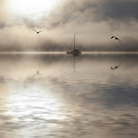 Buy canvas prints of Boat in mist in Bay of Islands by Sheila Smart