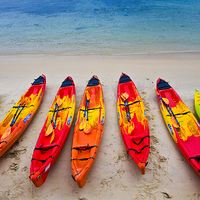 Buy canvas prints of Kayaks at Manly by Sheila Smart