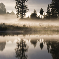 Buy canvas prints of Mist over Lake Matheson by Sheila Smart