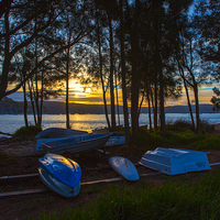 Buy canvas prints of Dinghies at sunset, Pittwater by Sheila Smart