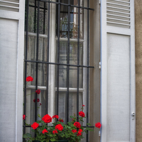 Buy canvas prints of Geraniums in Paris window box by Sheila Smart