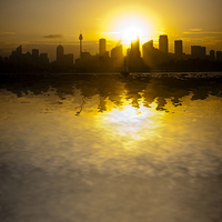 Buy canvas prints of  Sydney Harbour sunset by Sheila Smart