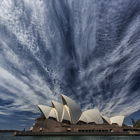 Buy canvas prints of  Sydney icon by Sheila Smart