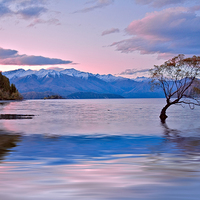 Buy canvas prints of  Late afternoon at Lake Wanaka by Sheila Smart