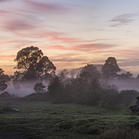 Buy canvas prints of  Morning mist over paddock by Sheila Smart