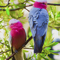 Buy canvas prints of A pair of pink galahs by Sheila Smart