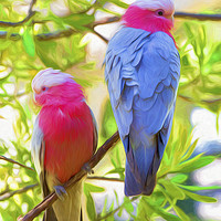 Buy canvas prints of Rose cockatoos by Sheila Smart
