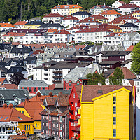 Buy canvas prints of Bergen hillside by Sheila Smart
