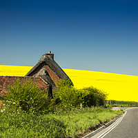 Buy canvas prints of Cottage in Wiltshire with rapeseed field as backdr by Sheila Smart